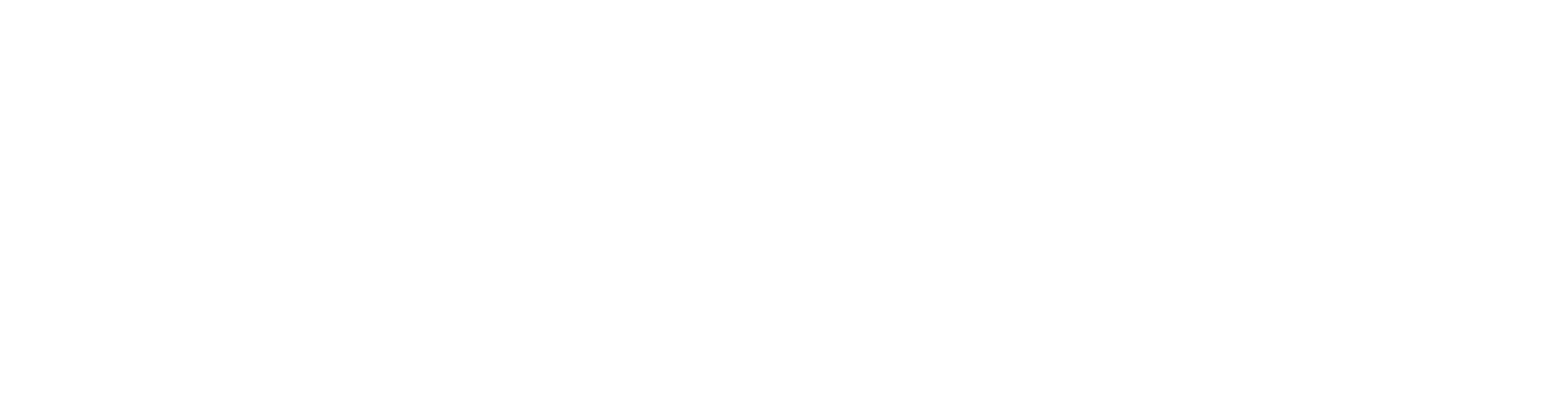 Ev Financial